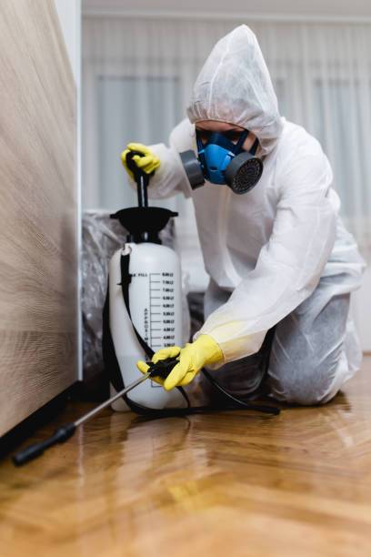 Professional Pest control in Pelican Bay, TX